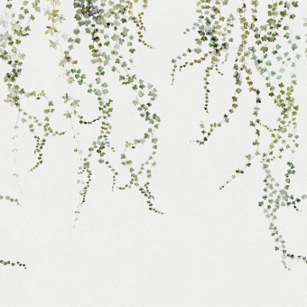 Papier peint panoramique Aralia Green Sandberg