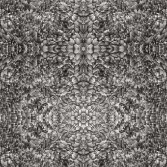 Papier peint panoramique A. D. 16
