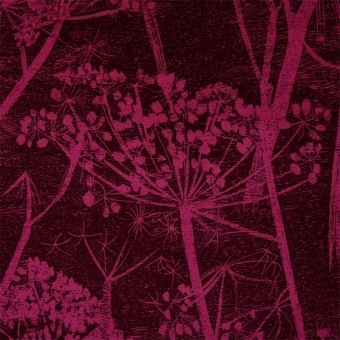 Velours Cow Parsley Hyacinth & Ink Cole and Son