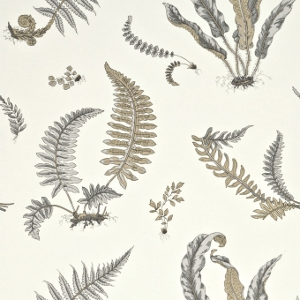 Carta da parati Ferns