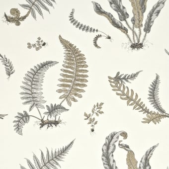 Papier peint Ferns