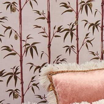 Money Tree Wallpaper Bamboo Poodle and Blonde