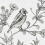 Papier peint panoramique Birdy 1 Walls by Patel Grey 110417