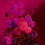 Carta da parati panoramica Bouquet Vibrant Walls by Patel Magenta 110707