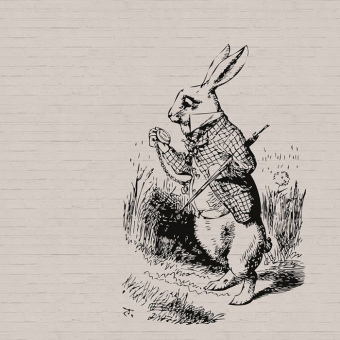 Carta da parati panoramica Bunny