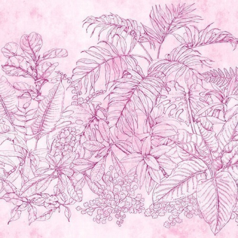 Paneel Fern Garden Pink Walls by Patel