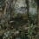 Jungle Panel Walls by Patel Mint 110697