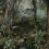 Papier peint panoramique Jungle Walls by Patel Mint 110697