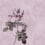 Papier peint panoramique Rose Walls by Patel Rose 110742
