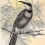 Carta da parati panoramica Vintage Birds 2 Walls by Patel Yellow 110437