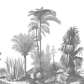 Panoramatapete Aloes