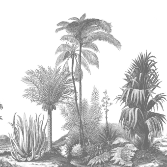 Papier peint panoramique Aloes