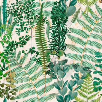 Papier peint panoramique Green Sanctuary Anthracite Mindthegap