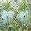 Papier peint panoramique Palm House Osborne and Little Forest W7452-01