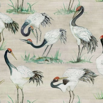 Cranes Wallpaper