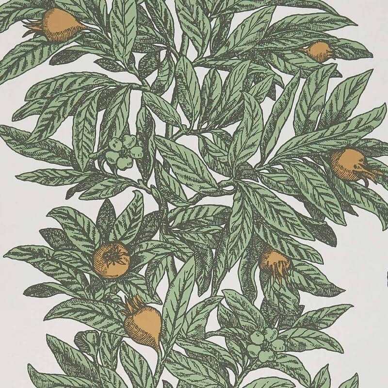 Medlar Wallpaper Osborne and Little