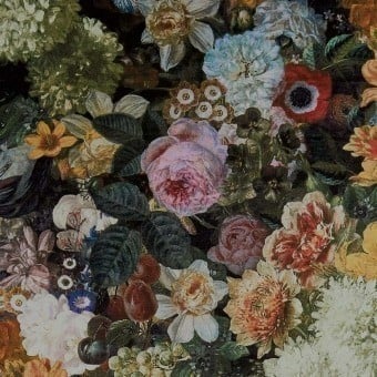 Terciopelo Fullerton