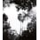 Palermo Black and white Panel Bien Fait 240x280 cm - 4 lés BF-PAL-REG-SM