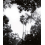 Panoramatapete Palermo Black and White Bien Fait 240x280 cm - 4 lés BF-PAL-REG-SM