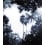 Carta da parati panoramica Palermo Indigo Bien Fait 240x280 cm - 4 lés BF-PAL-IND-SM