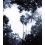 Palermo Indigo Panel Bien Fait 240x280 cm - 4 lés BF-PAL-IND-SM