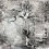 Papier peint panoramique Sous Bois Jean Paul Gaultier Crépuscule 3337-02