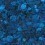 Paeonia Panel Quinsaï Bleu électrique QS-009CAA