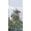 Carta da parati panoramica Firone Isidore Leroy 150x330 cm - 3 lés - milieu Firone Jungle Equatorial-B
