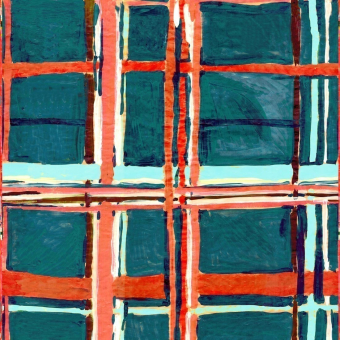 Terciopelo Madras
