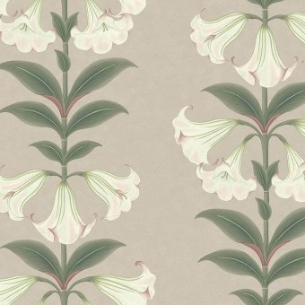 Angel's Trumpet Wallpaper Ballet slipper Cole and Son