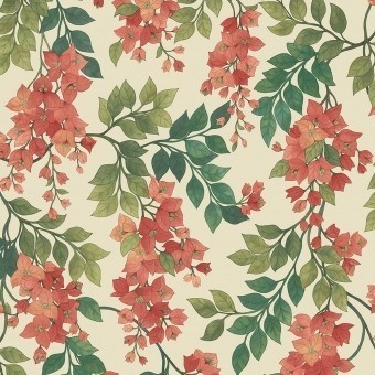 Bougainvillea Wallpaper Rouge Olive Cole and Son