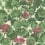 Carta da parati Geranium Cole and Son Rose 117/11034