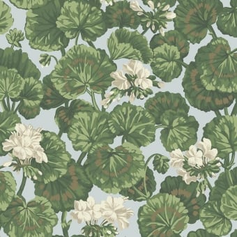 Geranium Wallpaper