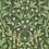 Papier peint Jasmine & Serin Symphony Cole and Son Yellow 117/10029