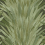 Abanico Wallpaper Arte Olive 34001