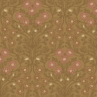Bellis Wallpaper