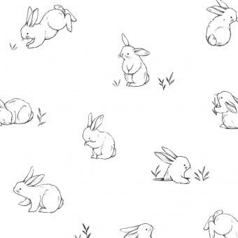 Bébé Petits Lapins Wallpaper