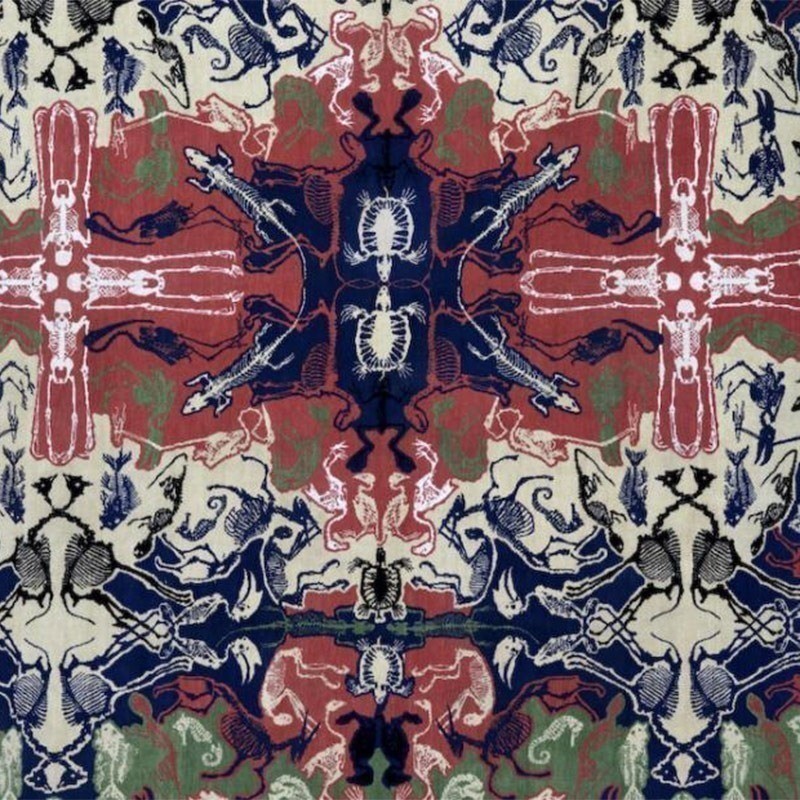 Alfombras Perished Persian Nodus