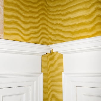 Amoir Fou Wallcovering