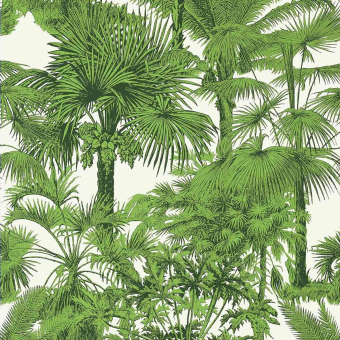 Palm Botanical Wallpaper
