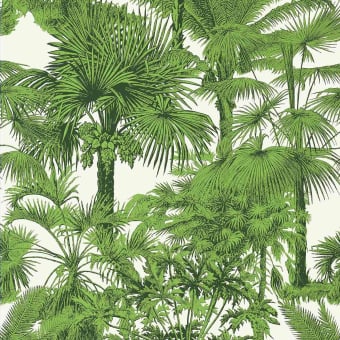 Papier peint Palm Botanical