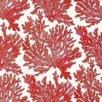 Papier peint Marine Coral