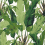 Travelers Palm Wallpaper Thibaut Green T10127
