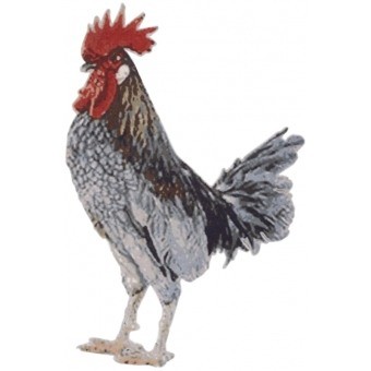 Rooster Rug