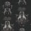 Tela Creatura linoen Emma J. Shipley by Clarke and Clarke Charcoal F1490/01