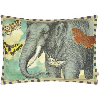 Coussin Elephant's Trunk Sky