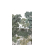 Papier peint panoramique Forêt de Bretagne Naturel Isidore Leroy 150x330 cm - 3 lés - côté gauche 6243012