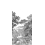 Carta da parati panoramica Forêt de Bretagne grigioaille Isidore Leroy 150x330 cm - 3 lés - côté droit 6243009