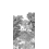 Carta da parati panoramica Forêt de Bretagne grigioaille Isidore Leroy 150x330 cm - 3 lés - côté gauche 6243008