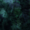 Papier peint panoramique Exotique Stella Cadente Vert foncé SC003CAA